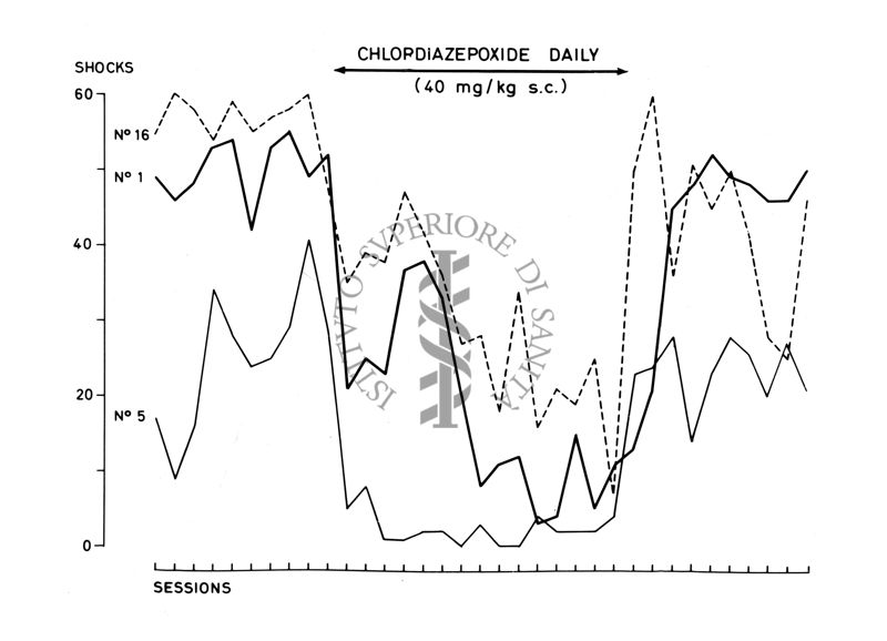 Grafico