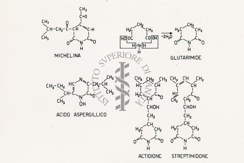 Formule di struttura  di Michelina, Glutarimide, Acido Aspergillico, Actidione  e Streptimidone