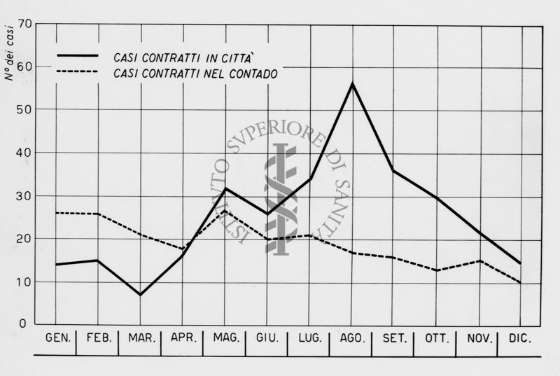 Grafico riguardante la febbre ricorrente in Giordania