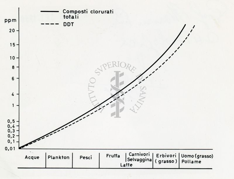 Senza titolo