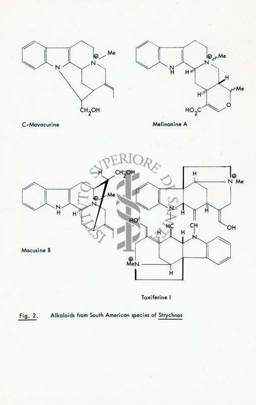 Fig. 2 - Alcaloidi delle specie sudamericane di Strychnos