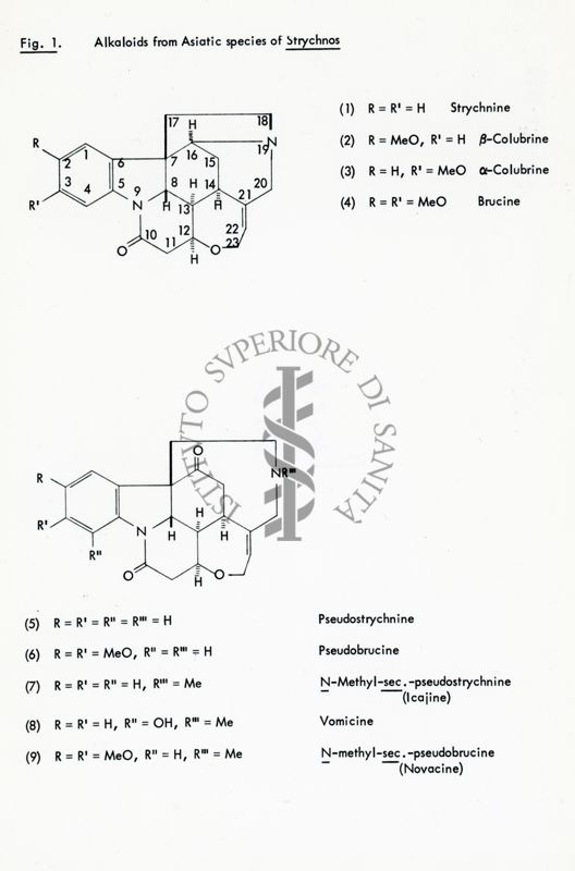 Fig. 1 - Alcaloidi delle specie asiatiche di Strychnos