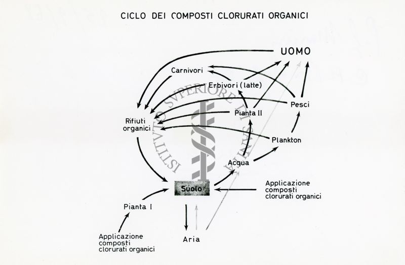 Ciclo dei composti clorurati organici