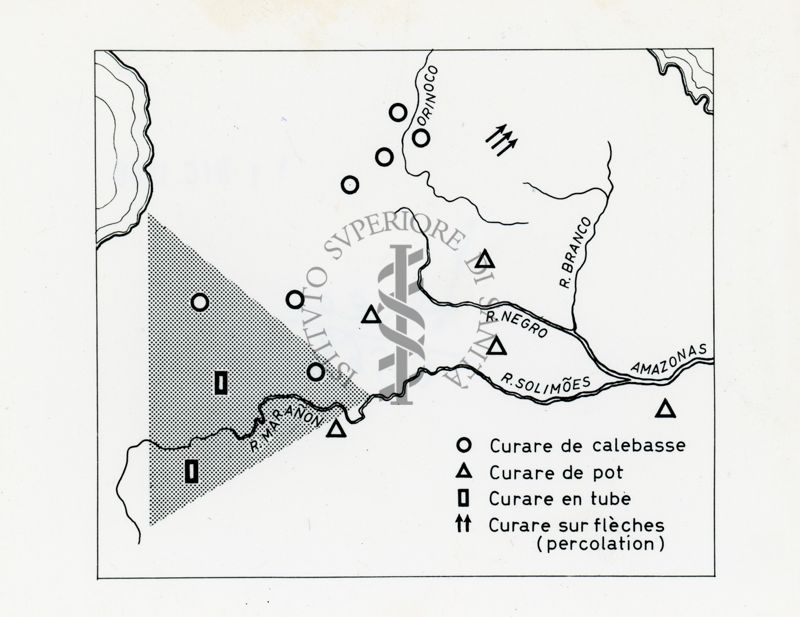 Presenza di varie tipologie di curaro in Amazzonia, tra il Rio delle Amazzoni, il Rio Negro, il Rio Solimoes e il Rio Branco