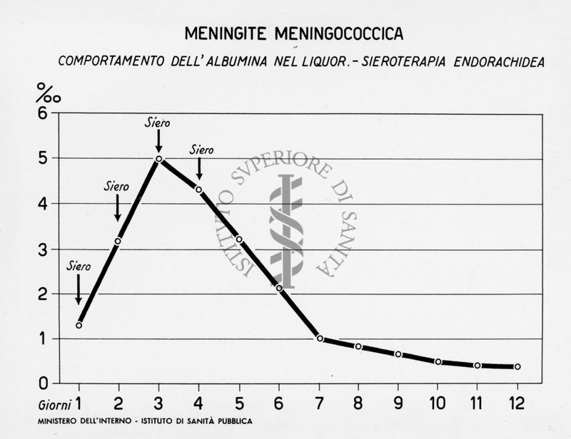 Grafico riguardante la meningite meningococcica