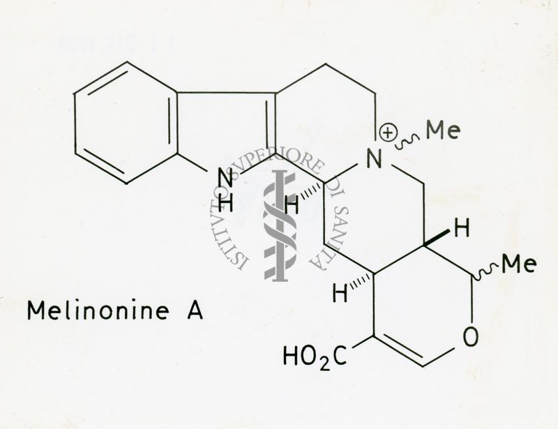 Formula di struttura della Melinonine A