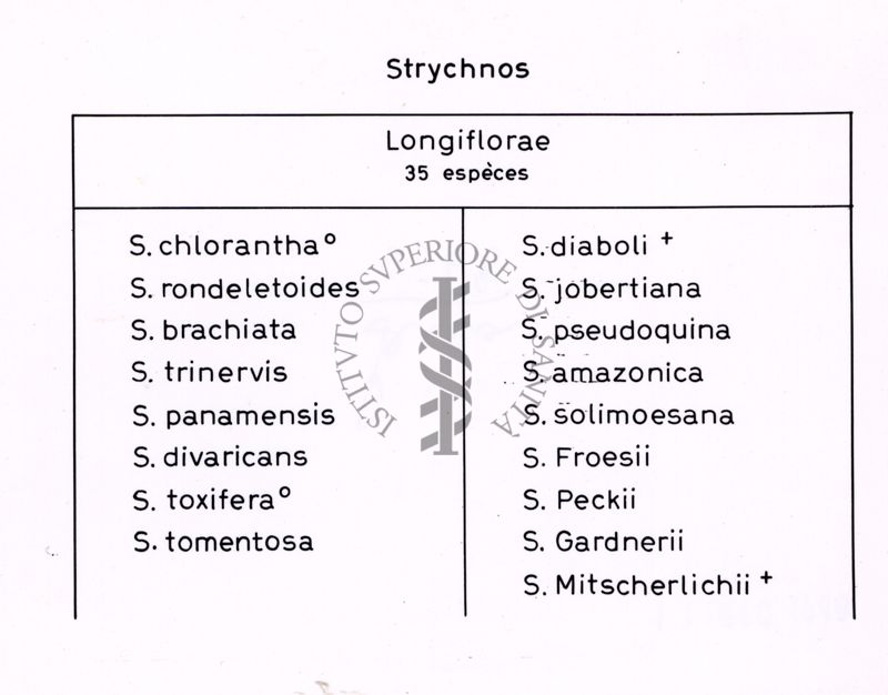 35 specie di Longiflora