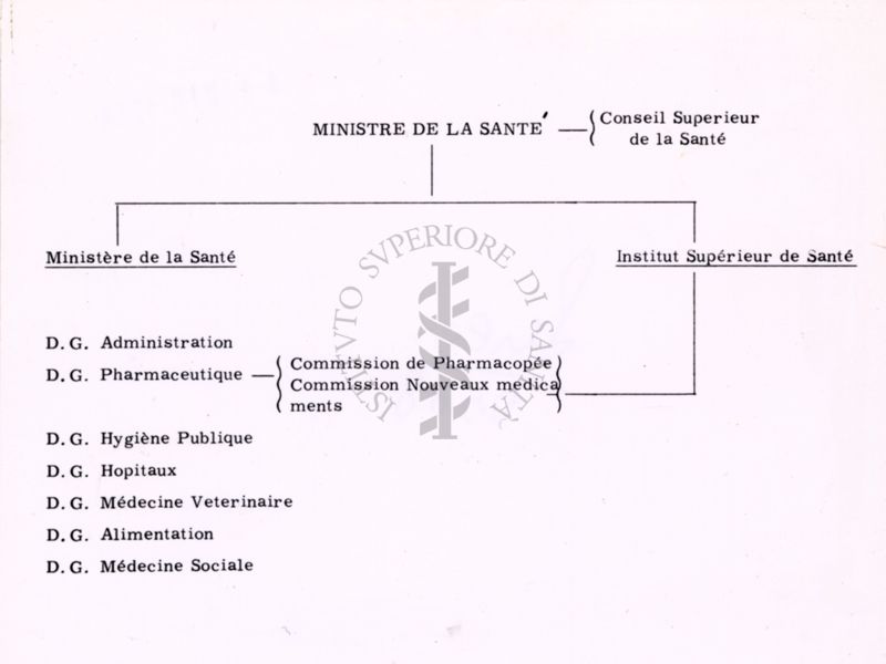 Organigramma riguardante il Ministro della Sanità e il Consiglio Superiore della Sanità (organo di consulenza tecnico scientifica del Ministro della Sanità) da cui dipendono il Ministero della Sanità e l'Istituto Superiore di Sanità