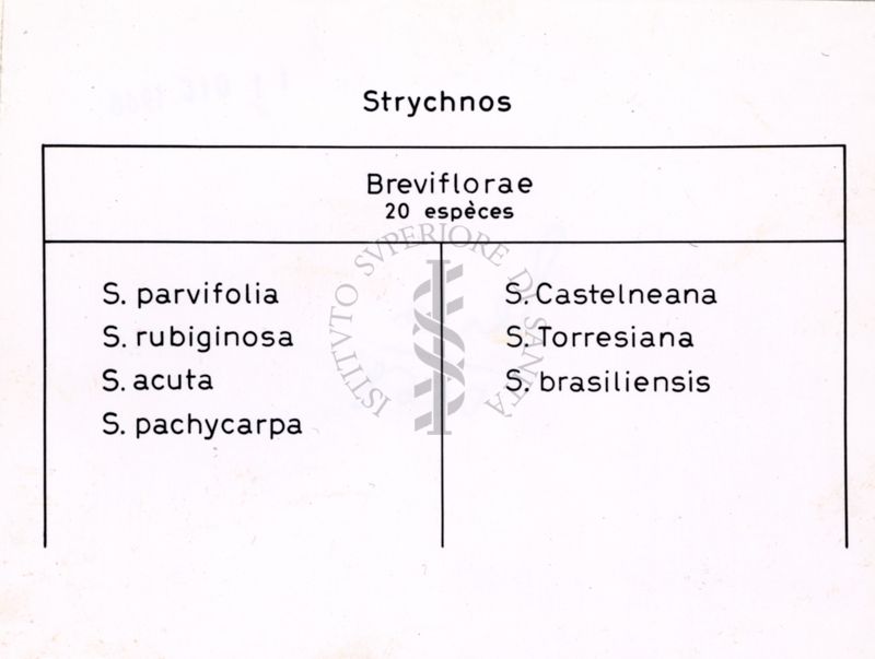 Tabella che elenca alcune specie di Strychnos (Breviflorae)