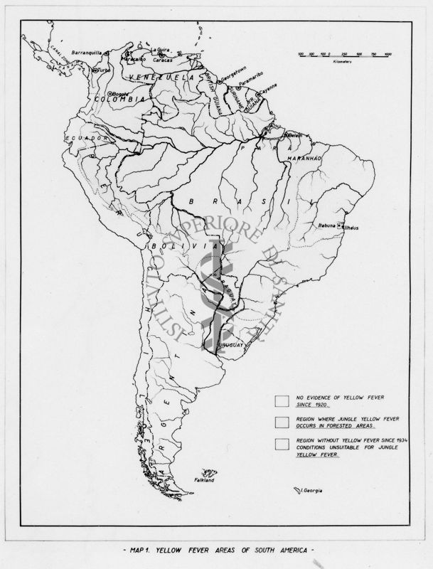 Cartogramma riguardante le zone colpite dalla Febbre Gialla nella Yungla del Sud America nel 1945