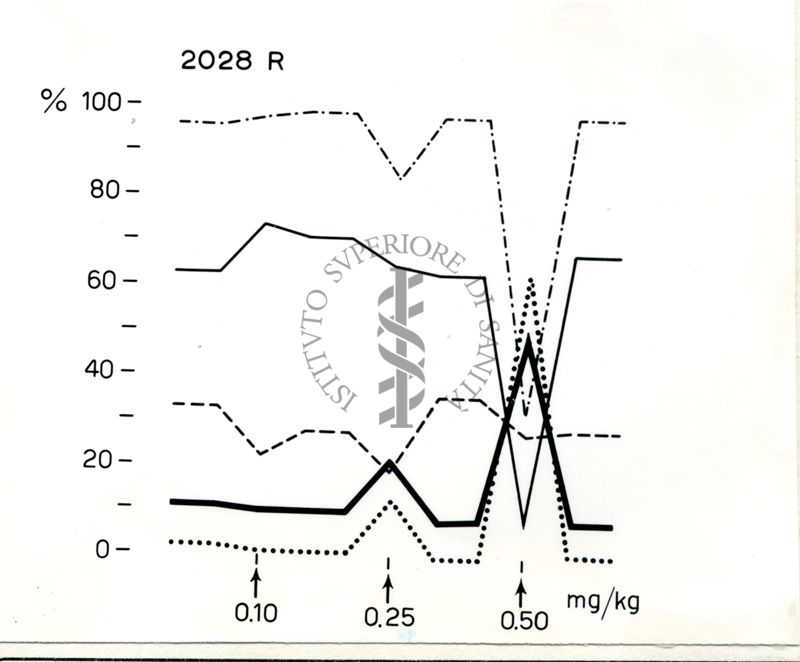 Grafico su cui è scritto 2023 R