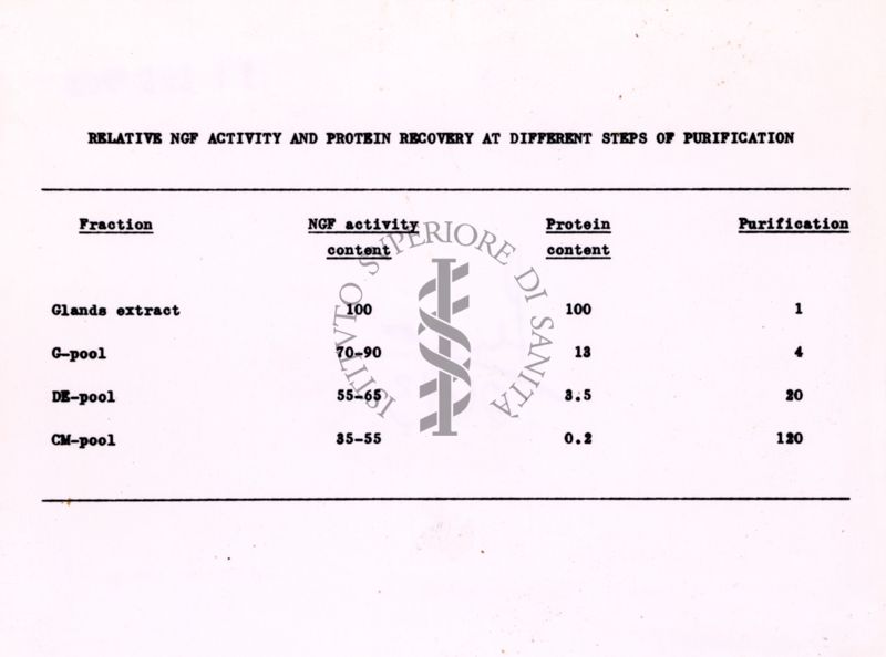 Tabella riguardante l'attività relativa di NGF e il recupero proteico in diverse fasi di purificazione