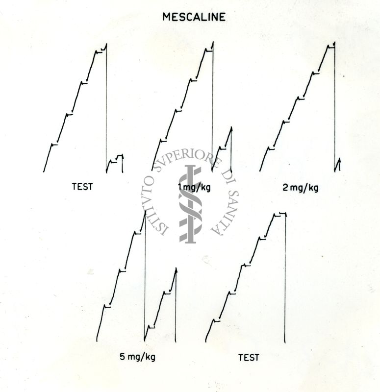 Grafici su cui vi è scritto: Mescaline