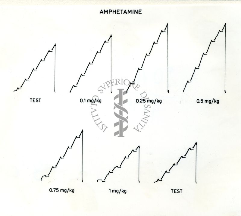 Grafici su cui vi è scritto: Amphetamine