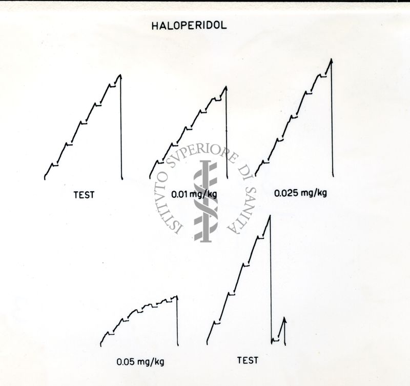 Grafici su cui vi è scritto: Haloperidol