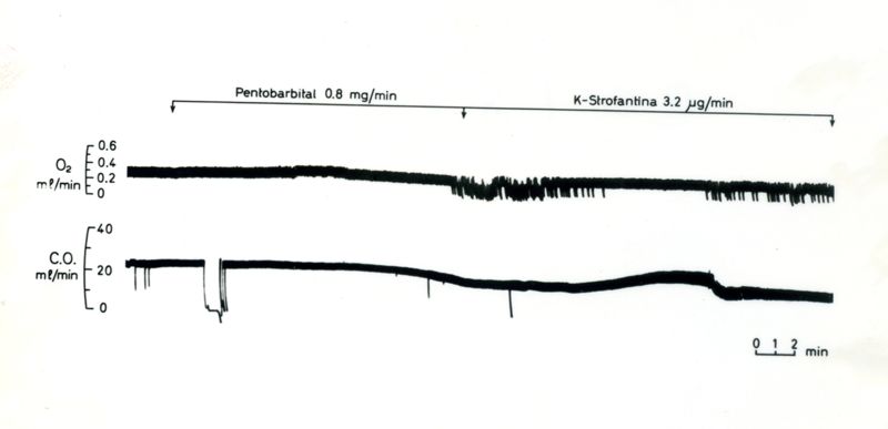 Tracciati su cui è scrittto: Pentobarbital, K-Strofantina