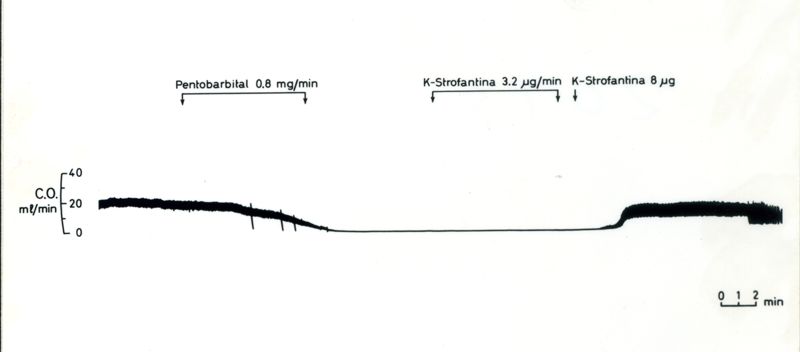 Tracciati su cui è scrittto: Pentobarbital, K-Strofantina, K-Strofantina