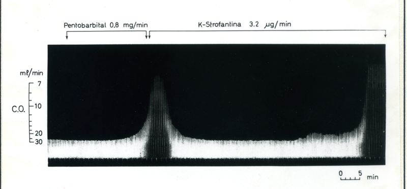 Immagine su cui è scrittto: Pentobarbital, K-Strofantina