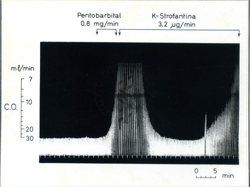 Immagine su cui è scrittto: Pentobarbital, K-Strofantina