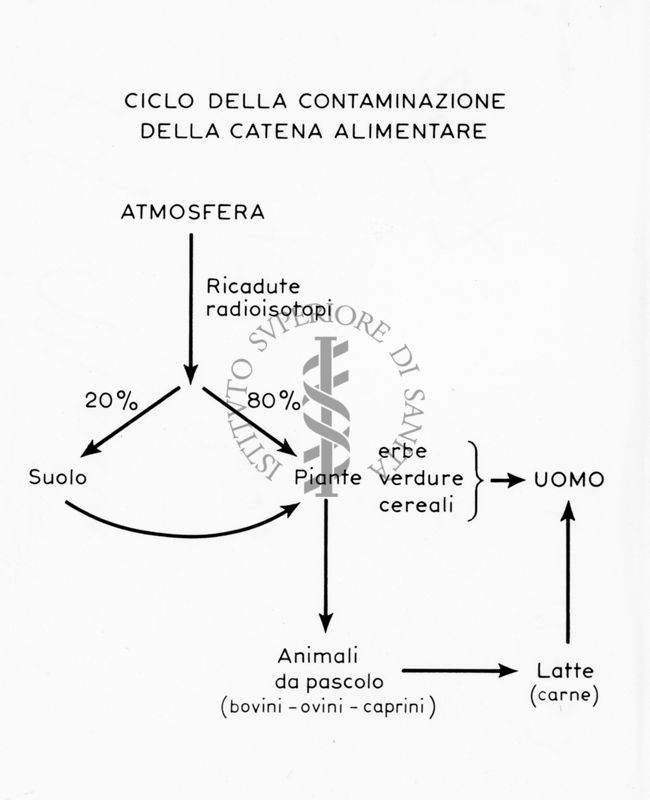 Senza titolo