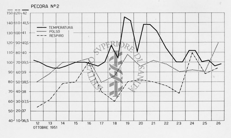 Diagramma riguardante la febbre Q