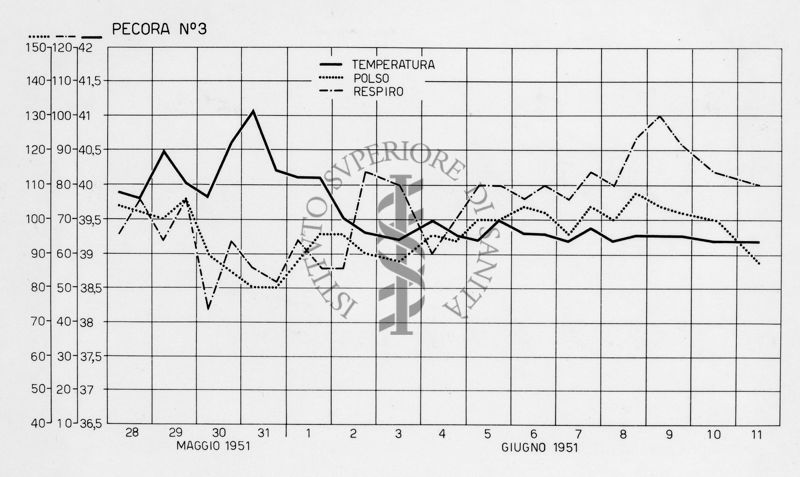 Diagramma riguardante la febbre Q