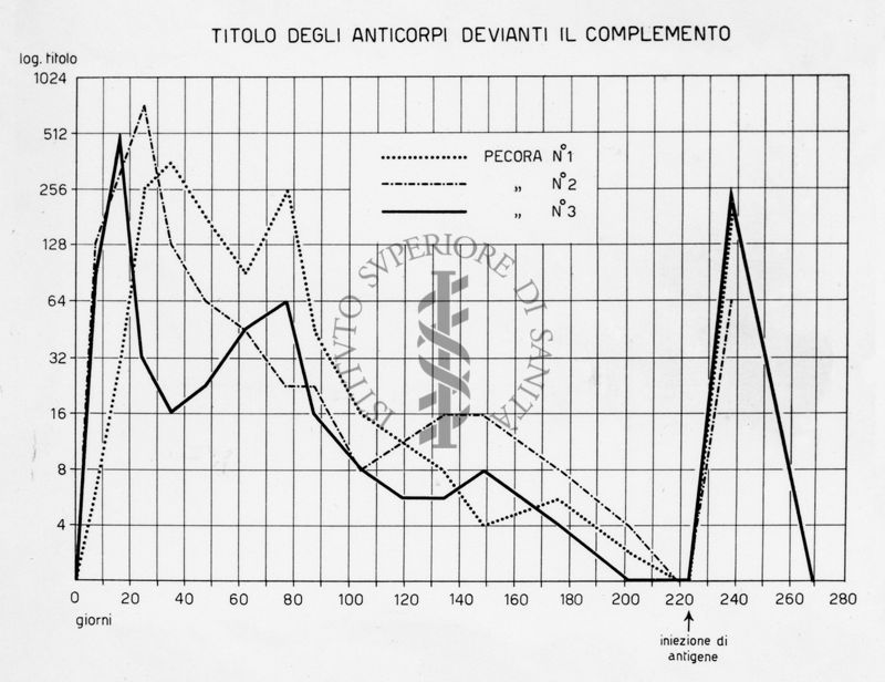 Diagramma riguardante la febbre Q