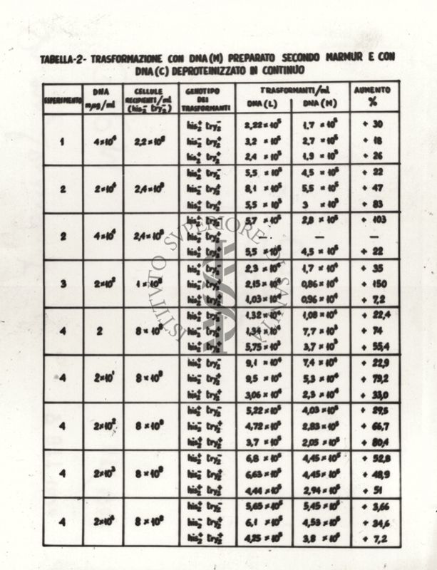 Tabella 2 - Trasformazione con  DNA (M) preparato secondo Marmur e con DNA (C) deproteinizzato di continuo