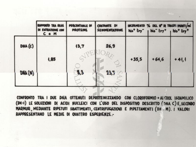 Confronto tra i due DNA ottenuti deproteinizzando con cloroformio + alcool isoamilico (24:I) le soluzioni di acidi nucleici con l'uso del dispositivo descritto (DNA C) e, secondo Marmur, mediante ripetuti sbattimenti, centrifugazioni e pipettamenti (DNA M). I valori rappresentano le medie di quattro esperienze