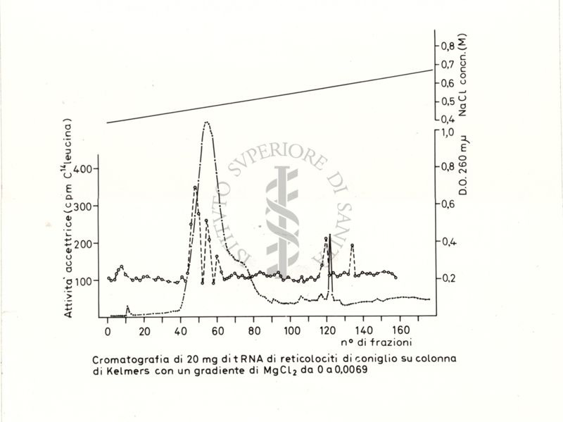 Grafico riguardante la cromatografia di 20 mg di tRNA di reticolociti di coniglio su colonna di Kelmers