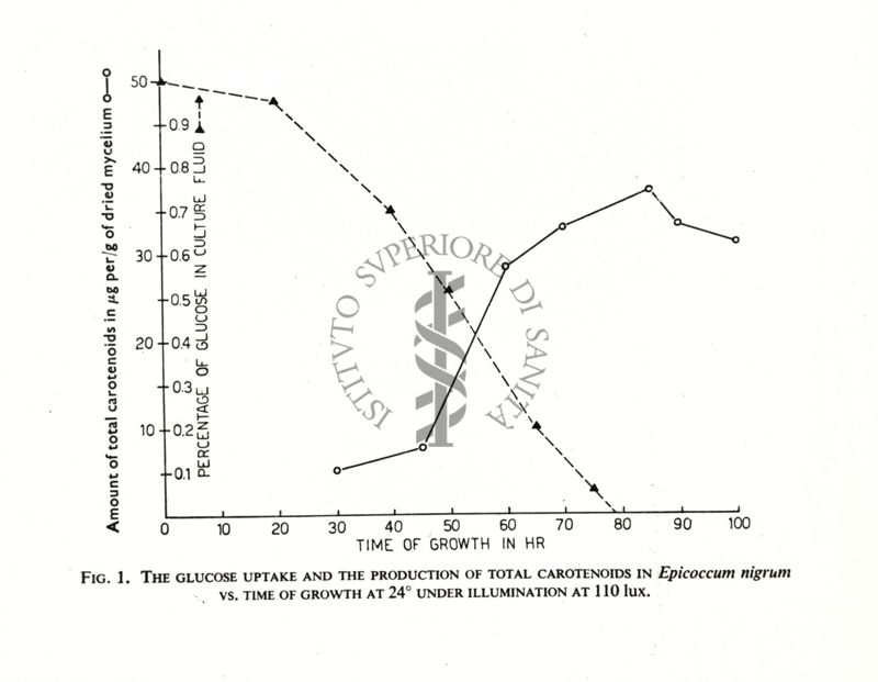 Fig. 1 - The glucose uptake and the productions of total carotenoids in Epicoccum nigrum vs. time of growth at 24° under illumination at 110 lux