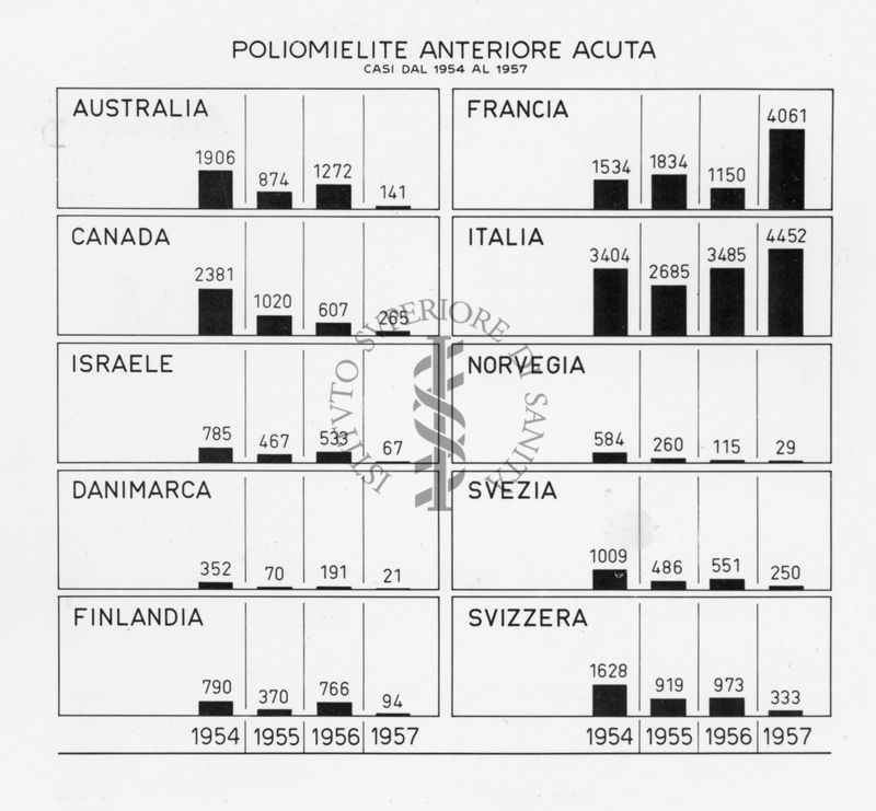 Diagramma riguardante la Poliomielite Anteriore Acuta