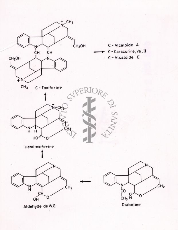 Formule di struttura di C-Toxiferine, Hemitoxiferine, Aldheyde de W.G. e Diaboline