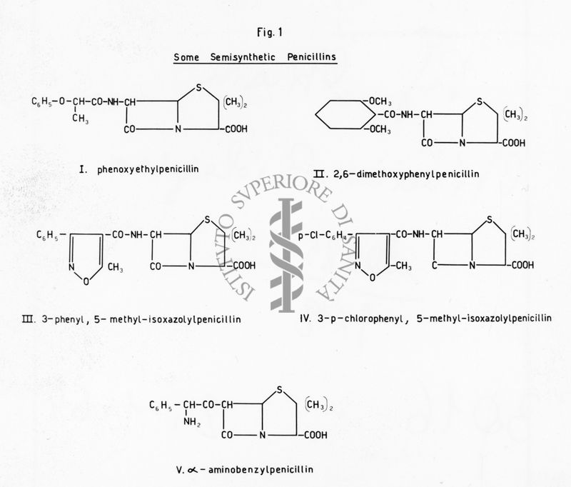 Fig. 1 - Some Semisynthetic Penicillins