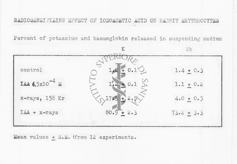 Radiosensitizing effect of iodoacetic acid on rabbit erythrocytes