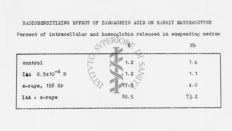 Radiosensiziting effect of iodoacetic acid on rabbit erythrocytes