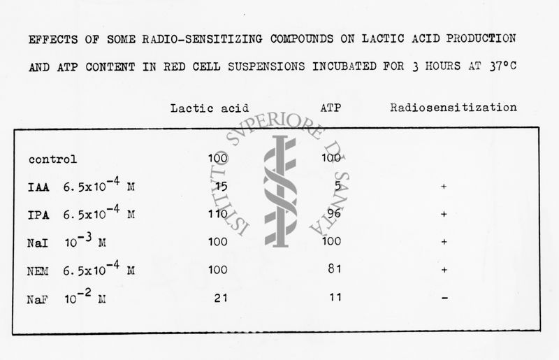 Effects of some radio-sensitizing compounds on lactic acid production and ATP content in red cells suspensions incubated for 3 hours at 37°