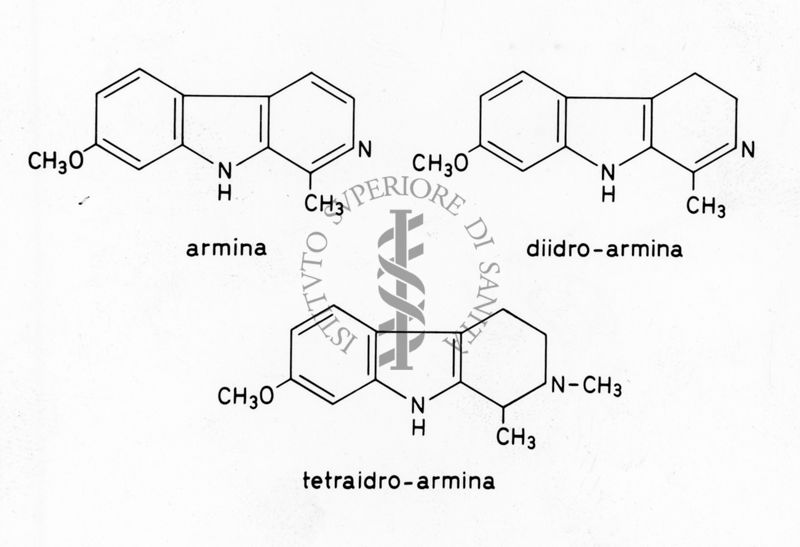 Formule di struttura di Armina, Diidro-Armina e Tetraidro-Armina