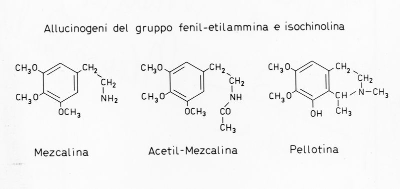 Allucinogeni del gruppo Fenil-Etilammina e Isochinolina - Formule di struttura di Mezcalina, Acetil-Mezcalina e Pellottina