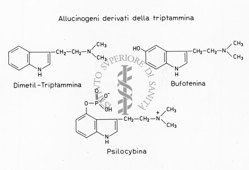 Allucinogeni derivati della Triptammina - Formule di struttura  di Dimetil-Triptammina, Bufotenina e Psilocybina