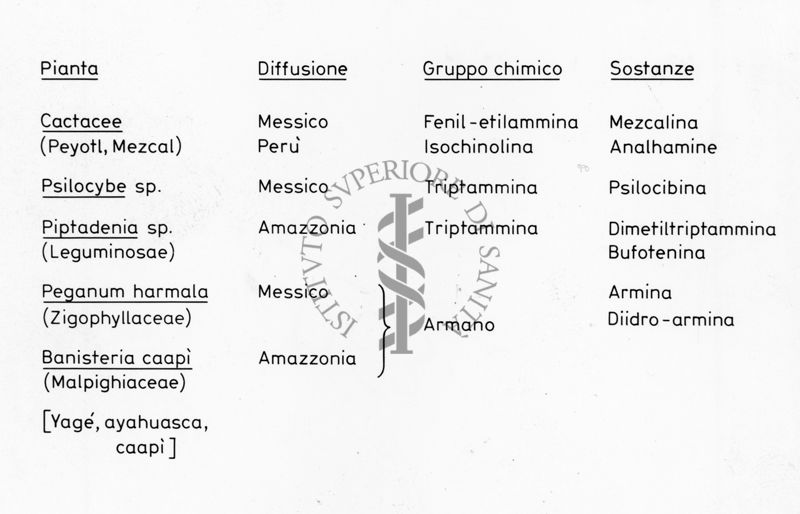 Tabella riguardante varie piante con descrizione del gruppo chimico, delle sostanze presenti e del luogo di diffusione