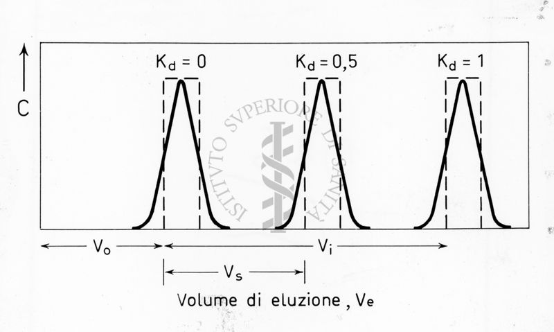 Senza titolo