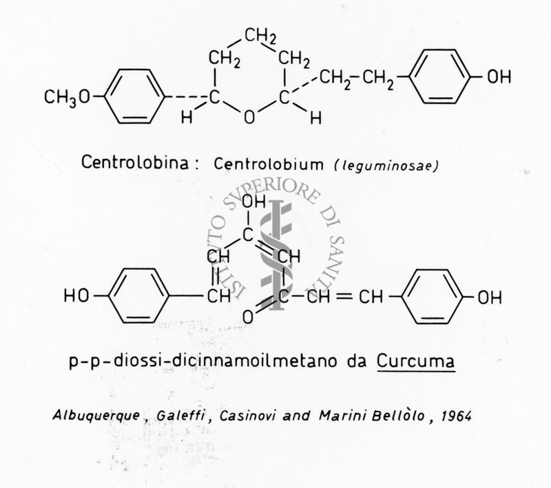 Formule di struttura della Centrolobina e del P-P-Diossi-Dicinnamoilmetano da Curcuma