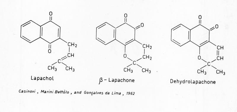 Formule di struttura del Lapachol, del Beta-Lapachone e del Dehydrolapachone