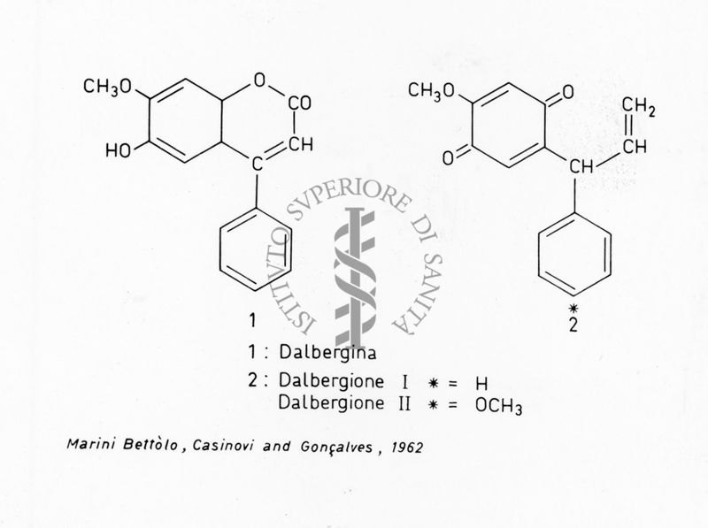 Formula di struttura della Dalbergina e del Dalbergione, I e II