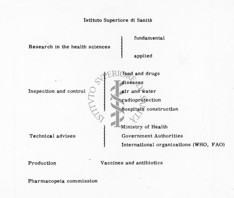 Organigramma dell'Istituto Superiore di Sanità: ricerca nella scienza della salute, pareri tecnici, ispezione e controllo, produzione e commissione della Farmacopea