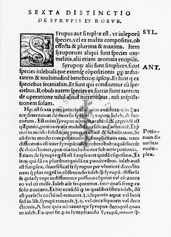 Prima pagina del capitolo "Sexta distinctio de syrupis et robub" tratto dal testo "Opera Divi Ioannis Mesue" (1541)