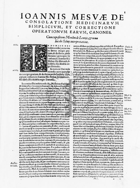 Pagina tratta dal testo "Ioannis Mesuae De' Consolatione medicinarum simplicium et correctione operationum earum, canones"