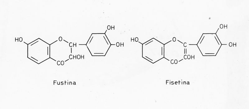 Formule di struttura di Fustina e Fisetina