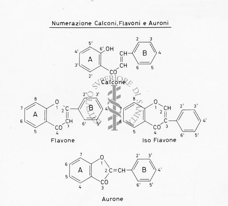 Numerazione Calconi, Flavoni e Auroni